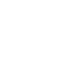 TikTok Icon