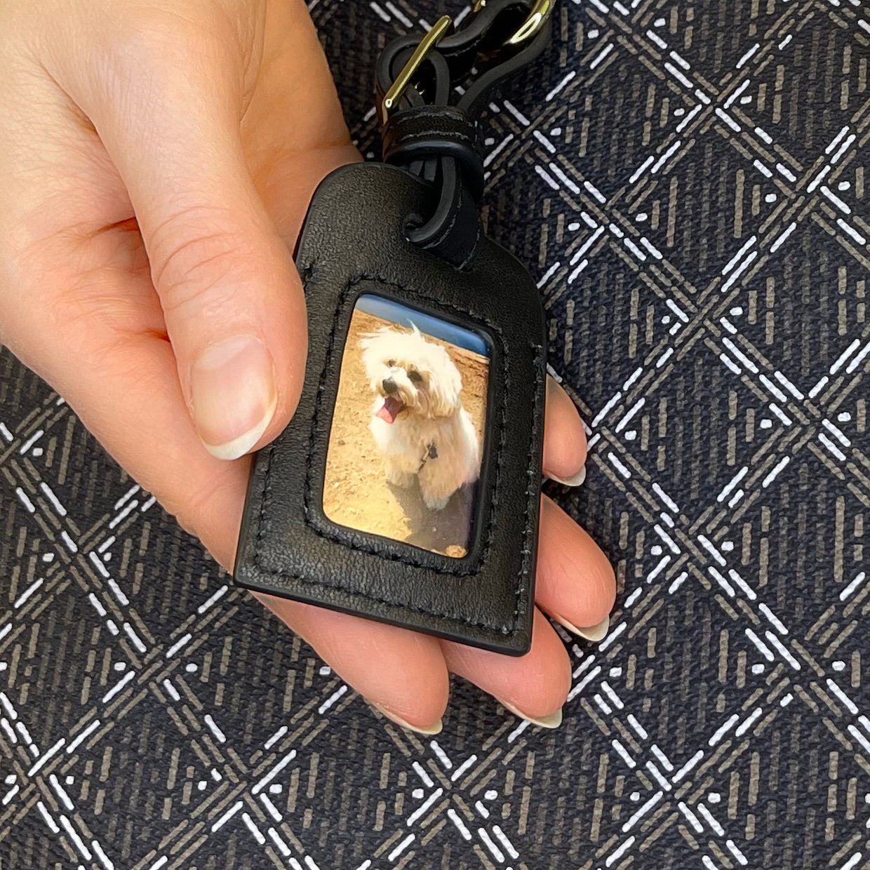 Louis Vuitton Catogram Dog Bag Charm Keychain